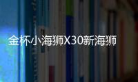 金杯小海狮X30新海狮X30L改装饰汽车配件中控仪表台盘防晒避光垫