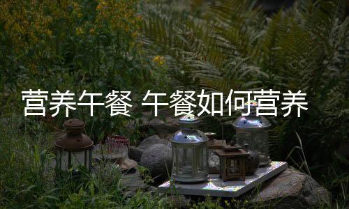 营养午餐 午餐如何营养效率双丰收